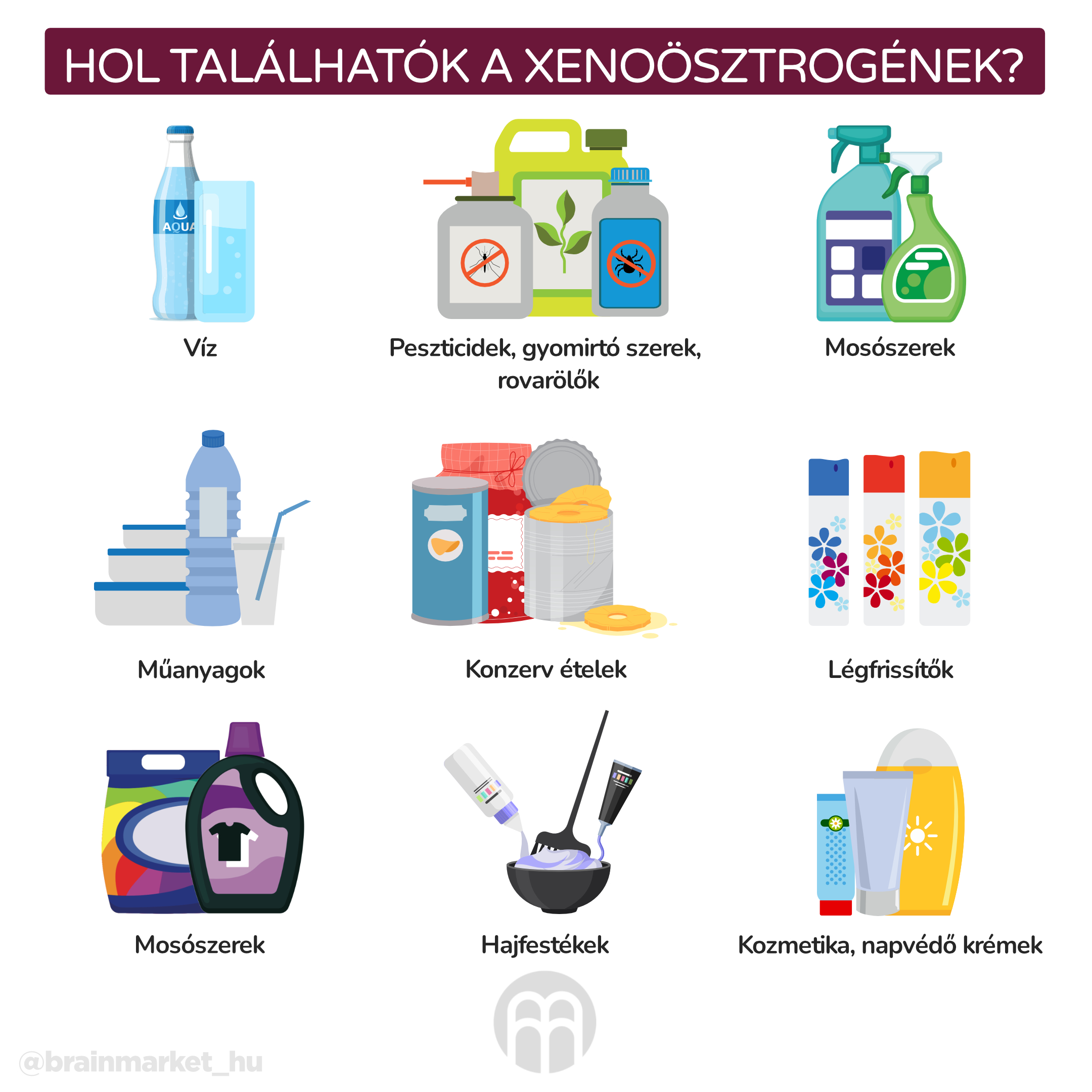 Kde se nacházejí xenoestrogeny__infografika_hu